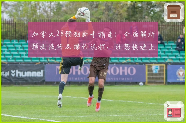 加拿大28预测新手指南：全面解析预测技巧及操作流程，让您快速上手