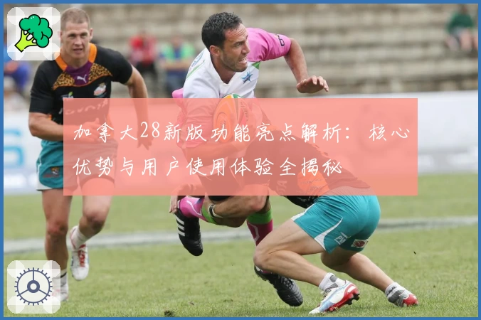 加拿大28新版功能亮点解析：核心优势与用户使用体验全揭秘