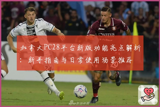 加拿大PC28平台新版功能亮点解析:新手指南与日常使用场景推荐