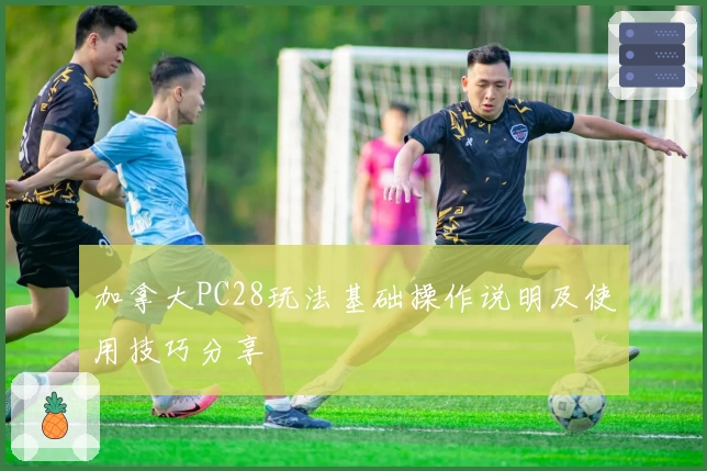 加拿大PC28玩法基础操作说明及使用技巧分享