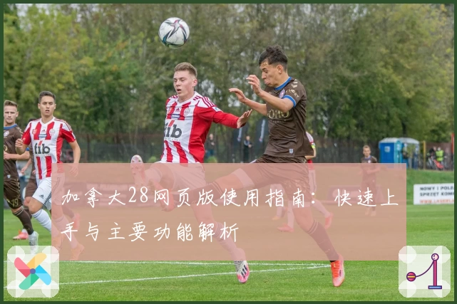 加拿大28网页版使用指南：快速上手与主要功能解析