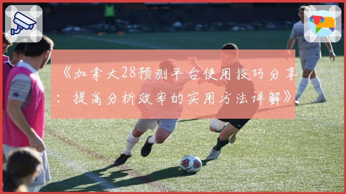 《加拿大28预测平台使用技巧分享：提高分析效率的实用方法详解》