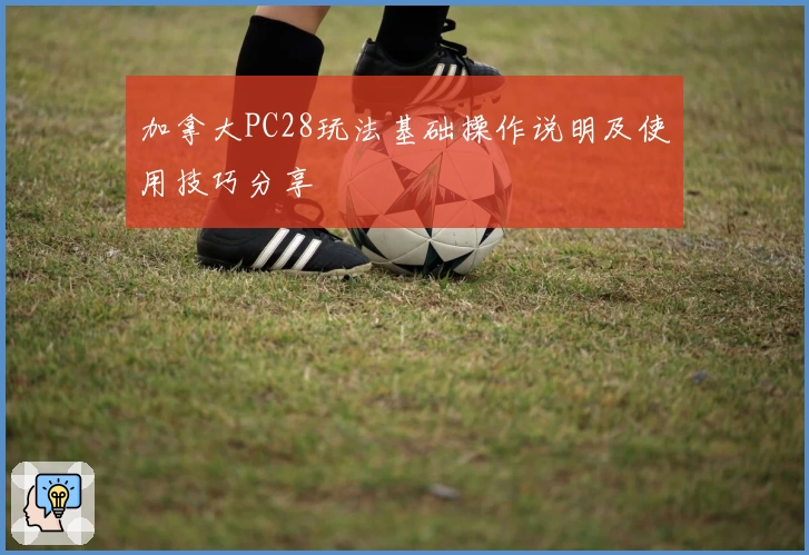 加拿大PC28玩法基础操作说明及使用技巧分享