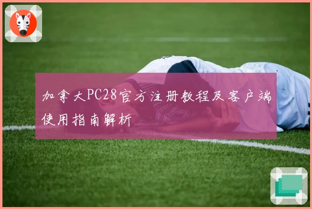 加拿大PC28官方注册教程及客户端使用指南解析