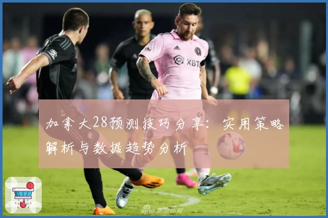 加拿大28预测技巧分享：实用策略解析与数据趋势分析