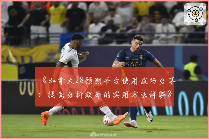 《加拿大28预测平台使用技巧分享：提高分析效率的实用方法详解》