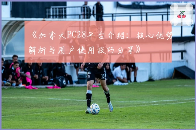 《加拿大PC28平台介绍：核心优势解析与用户使用技巧分享》