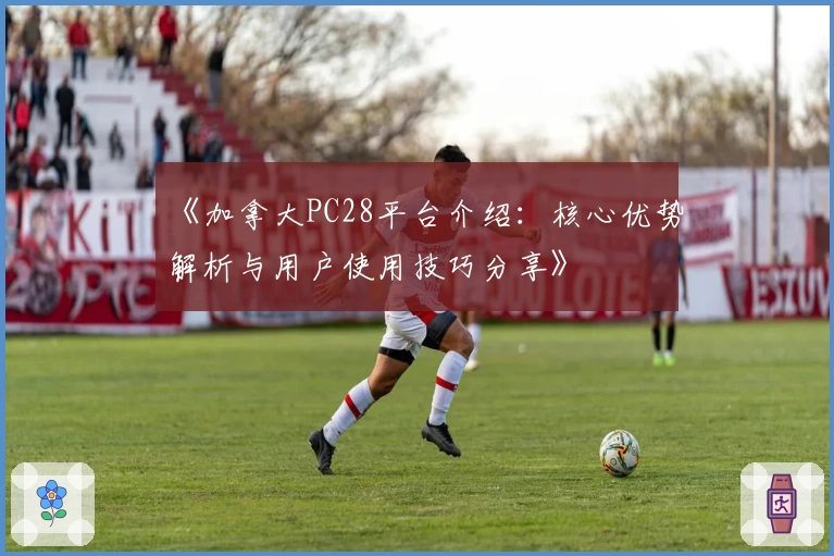 《加拿大PC28平台介绍:核心优势解析与用户使用技巧分享》